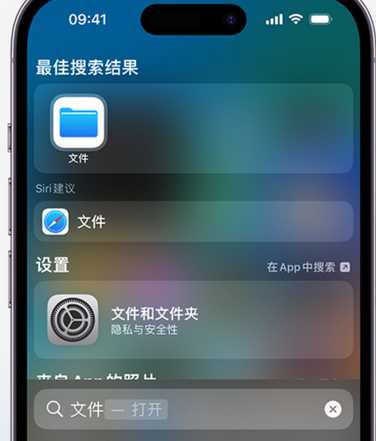 蔚县apple维修中心分享iPhone文件应用中存储和找到下载文件 