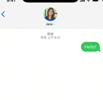 蔚县apple维修iPhone上无法正常发送iMessage信息