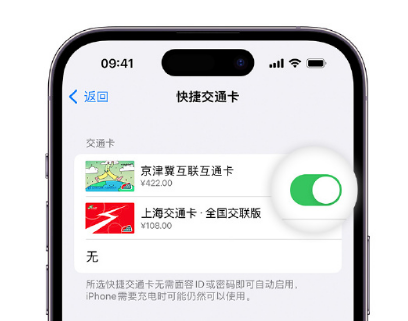 蔚县apple维修点分享iPhone上更换Apple Pay快捷交通卡手绘卡面 