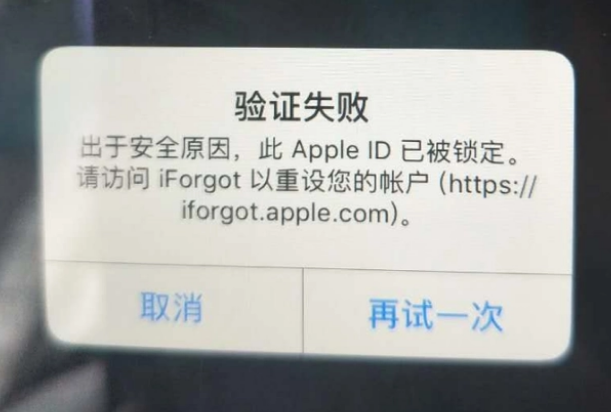 蔚县iPhone维修分享iPhone上正常登录或使用AppleID怎么办 