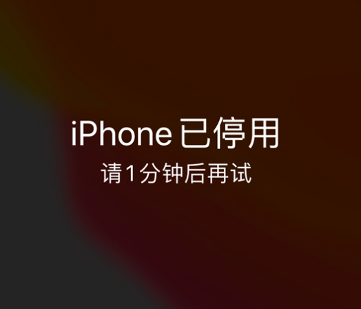 蔚县苹果手机维修分享:iPhone 显示“不可用”或“已停用”怎么办？还能保留数据吗？ 