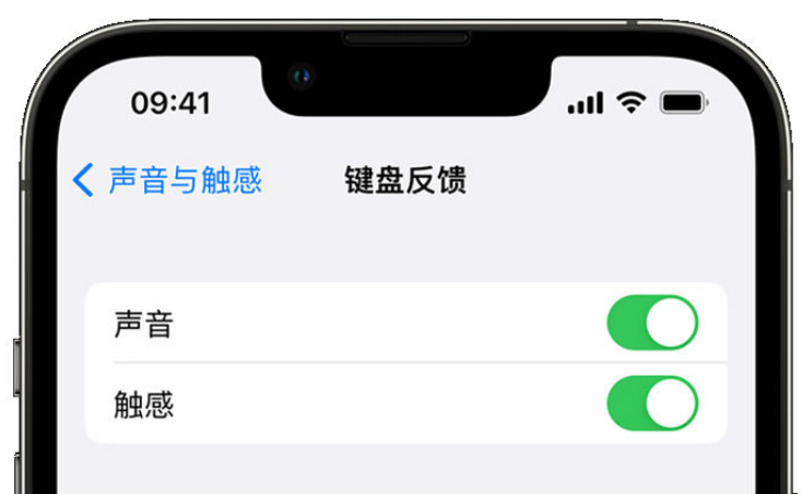 蔚县苹果手机维修分享iPhone 14触感键盘使用方法 