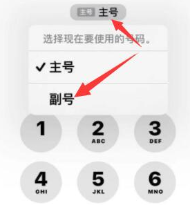 蔚县苹果14维修店分享iPhone 14 Pro Max使用副卡打电话的方法 