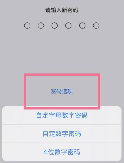 蔚县苹果14维修分享iPhone 14plus设置密码的方法 