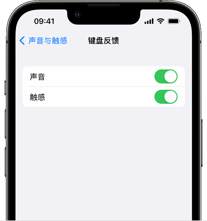 蔚县苹果14维修分享iPhone 14 系列机型如何开启键盘声音或触感反馈 