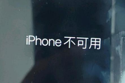 蔚县苹果服务网点分享锁屏界面显示“iPhone 不可用”如何解决 