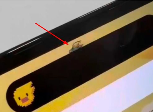 蔚县苹果14维修分享iPhone 14 Pro Max灵动岛怎么养宠物 