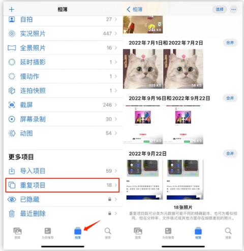 蔚县苹果手机维修分享iOS 16 中相册重复项目功能使用方法 