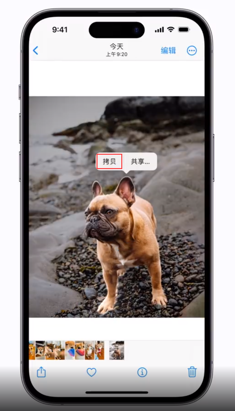 蔚县苹果手机维修分享 iOS 16 自带一键抠图功能 