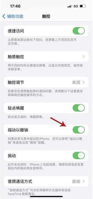 蔚县苹果手机维修分享iPhone手机如何设置摇一摇删除文字 