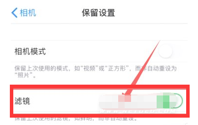 蔚县苹果13维修分享iPhone13拍照有绿点是怎么回事 