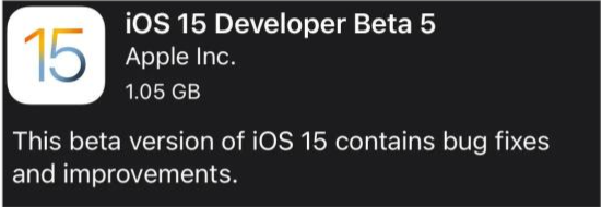 蔚县苹果手机维修分享如何升级到iOS15.0 beta5 