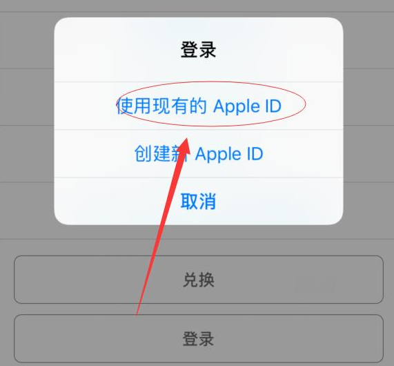 蔚县苹果手机维修分享两台iPhone设备可以同时登录一个Apple ID吗 