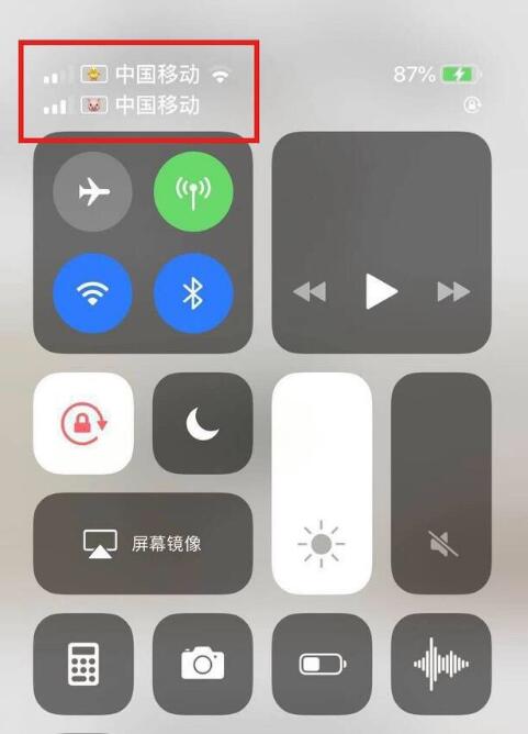 蔚县苹果手机维修分享为 iPhone 12 双卡设置标签 